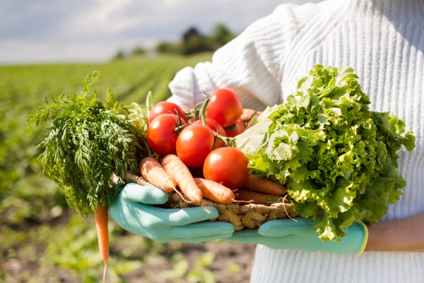 A Farmer holding basket full of crops